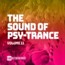 Cyberg - Shape Of The Earth (Original Mix)