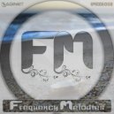 Saginet - Frequency Melodies 002