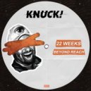 22 Weeks - Acid Fridge