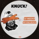 22 Weeks - Acid Fridge (Original Mix)