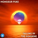 Monsieur Puke - Falling In The Sunshine