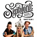 Sepiatonic - John the Revelator (VTQ Remix)