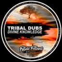 Tribal Dubs - Tidy Like (Original Mix)