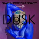 Name In Process & Sinapsy & Luis Xander - Cenzontle (Luis Xander Remix)