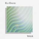 Eli David - WALK