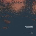 Vinyl speed adjust - Noek