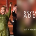 Adele - Skyfall