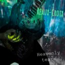 Reaux-Croix - Heavenly tears (Original Mix)