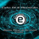 Carles DJ, Phoenix2kx - Visions