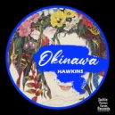 Hawkins - Funakoshi\'s Last Dance (Original Mix)