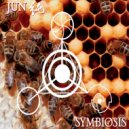 Junchan - Honey Bee