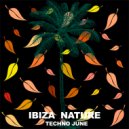 Ibiza Son - Rocket (Dub Mix)