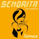 Tamica - Señorita