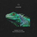 Leandro da Silva - Supernature