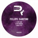 Felipe Santini - Between