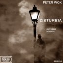 Peter Wok - Reverse ()