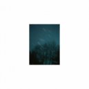 Mindfulness Healing BGM Project - Ordovician and Refresh (Sleep Mix)
