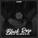 Akif Sarikaya - Black Rose