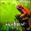 Aladdim - No Gravity