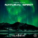 Insider - After Synthesis (Original Mix)