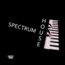 DJ Non Rex - Spectrum House