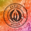 Rawdio - In The Mood