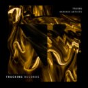 Franco Rossi - Immiscible Liquids (Original Mix)