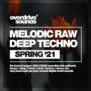 Dirty Junkies - Perspective (Original Mix)