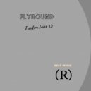 Flyround - Freedom Force 3.0