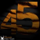 Vlada Asanin - Free Tiger
