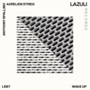Anthony Spallino & Aurelien Stireg - Rolling Bar ()