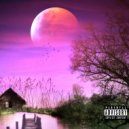 Ferris MUELLER - Purple Now & Later ()