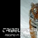 Tribeleader - Ascend In The Light
