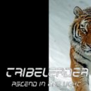 Tribeleader - Universe Evolution (Instrumental)