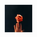 Thiiird3ye, Uchii - Save A Little Love