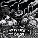 Calculated Chaos - Waste Of Time