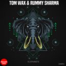 Tom Wax, Rummy Sharma - Elephants