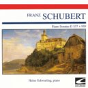 Heino Schwarting - Piano Sonata No. 4 In A Minor, D. 537: II. Allegretto Quasi Andantino