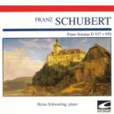 Heino Schwarting - Piano Sonata No. 20 In A Major, D. 959: III. Scherzo. Allegro Vivace ()