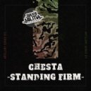 Chesta - Standing Firm (Original Mix)