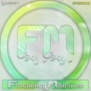 Saginet - Frequency Melodies 003 ()