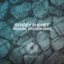Sergey Shemet - Frozen Grid