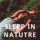 Exams Study USA - Sleep in Nature