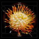 Colle - ATFER
