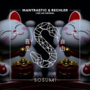 Mantrastic & Rechler - Like An Animal