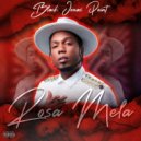 Black Jonas Point - Rosa Mela