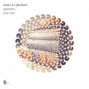 Riesen & Cyberdom - Questions