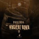 PabloSA & TorQue MuziQ - The Tunnel (Afro Mix)