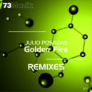 Julio Posadas - Golden Fire (Puddle ecoSystem Remix)