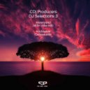 CDj Producers - Acidulation